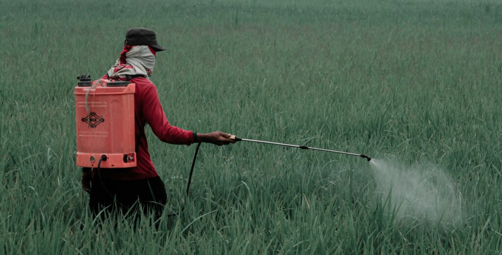 Herbicide treatment and weed control Bankstown and Sutherland Shire — CCS