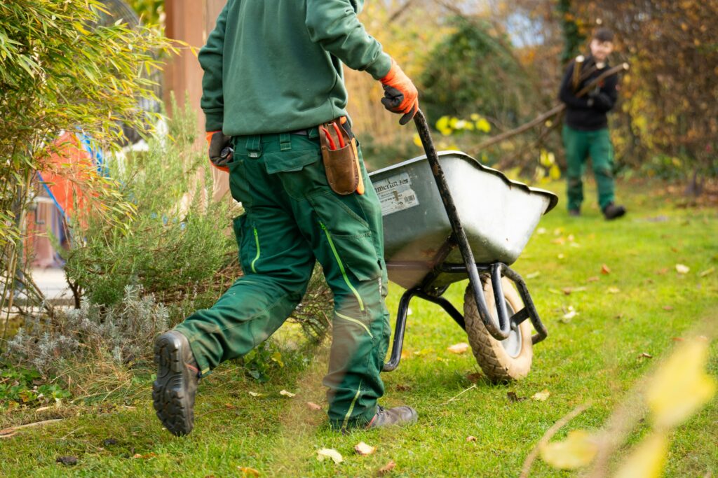 Garden cleaning and maintenance Sutherland Shire and Bankstown — CCS
