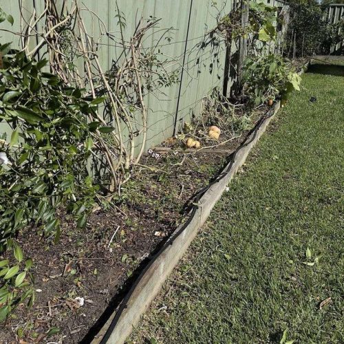 Garden bed after professional maintenance and clean-up Sutherland Shire — CCS